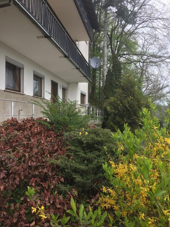 Mainzimmer Business Appartment - Monteurwohnung Mit Burgblick Wertheim Exterior foto